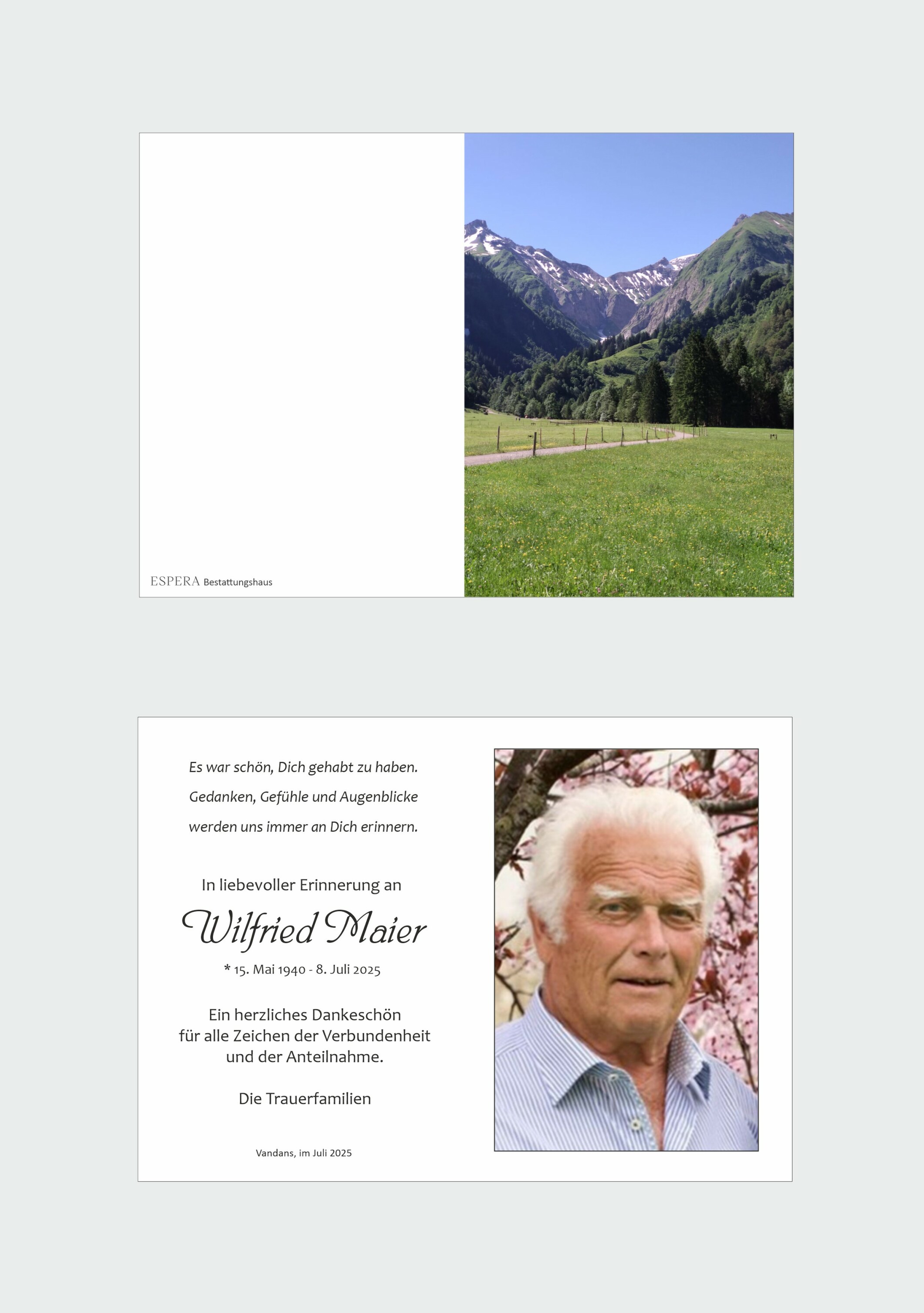 Wilfried Maier